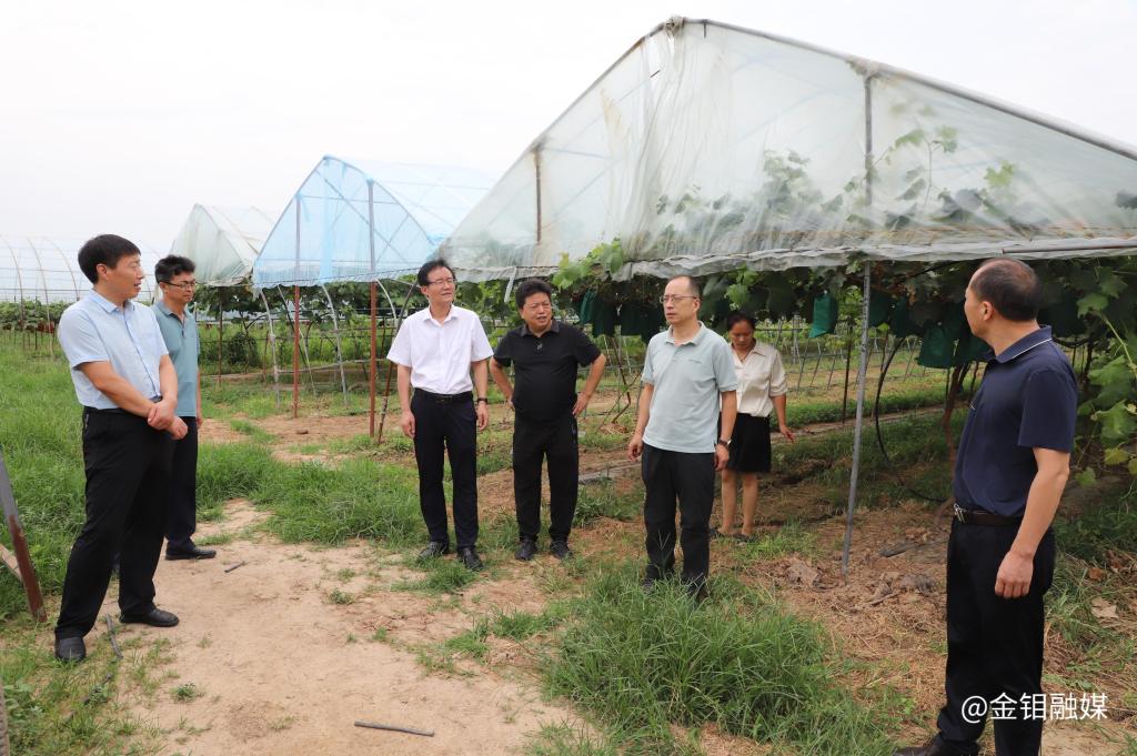20240807-金鉬集團(tuán)紀(jì)委調(diào)研渭南合力產(chǎn)業(yè)幫扶項(xiàng)目.JPG