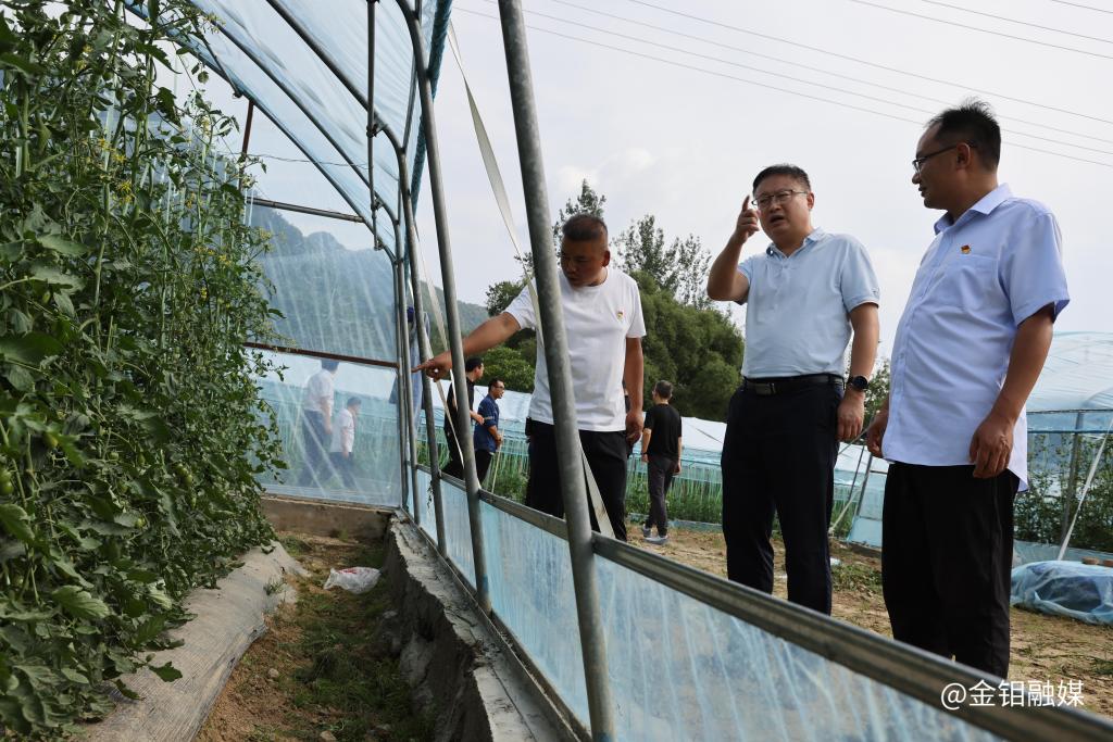 20250721-張保生赴定點(diǎn)幫扶村開展慰問調(diào)研 推動(dòng)鄉(xiāng)村產(chǎn)業(yè)提質(zhì)增效 (2).JPG